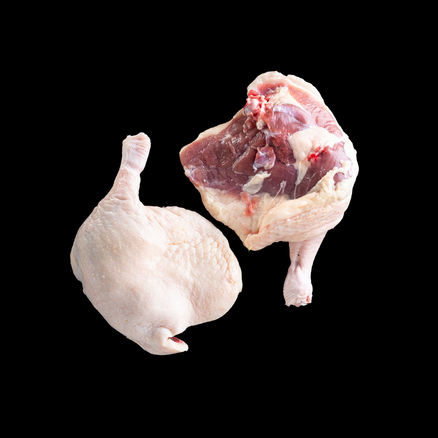 Duck Bone in Leg
