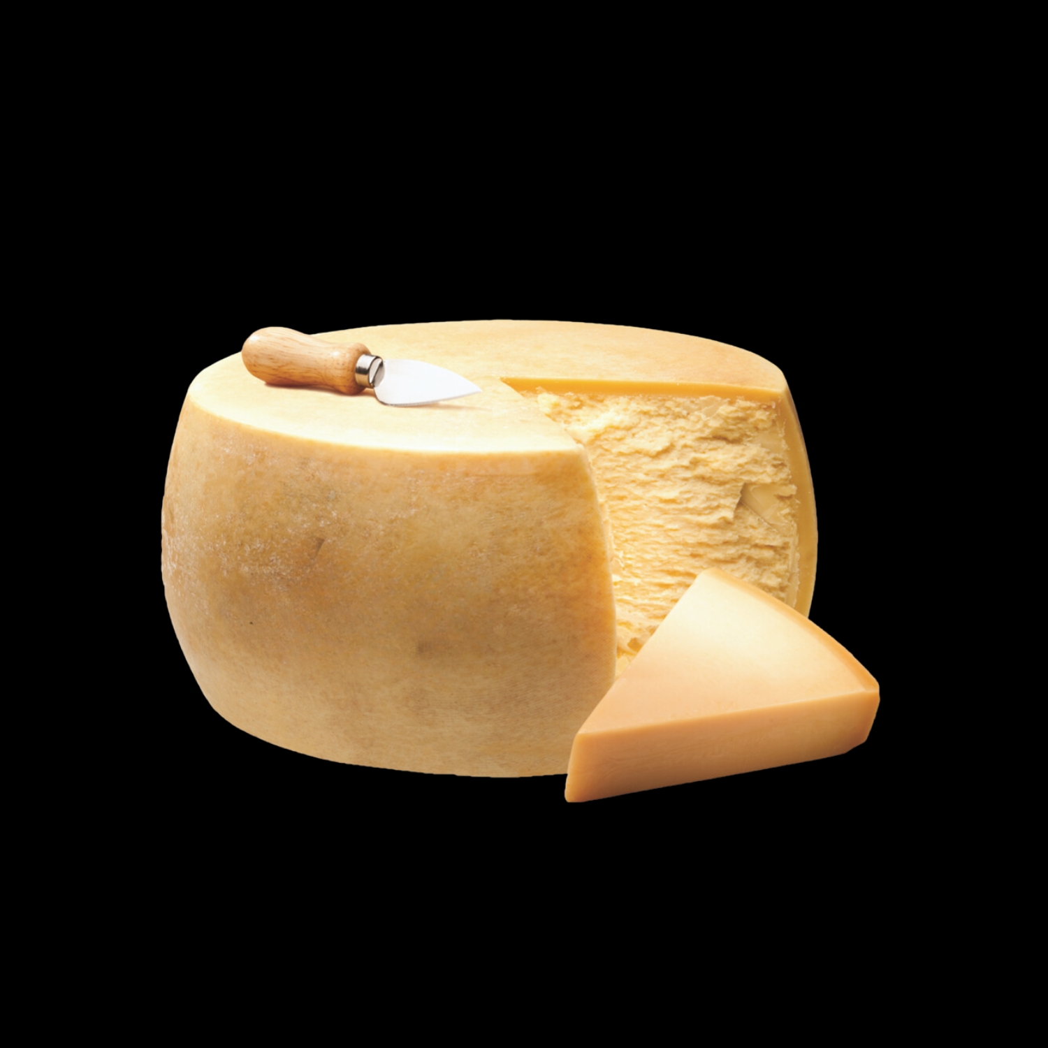 Parmesan Wheel