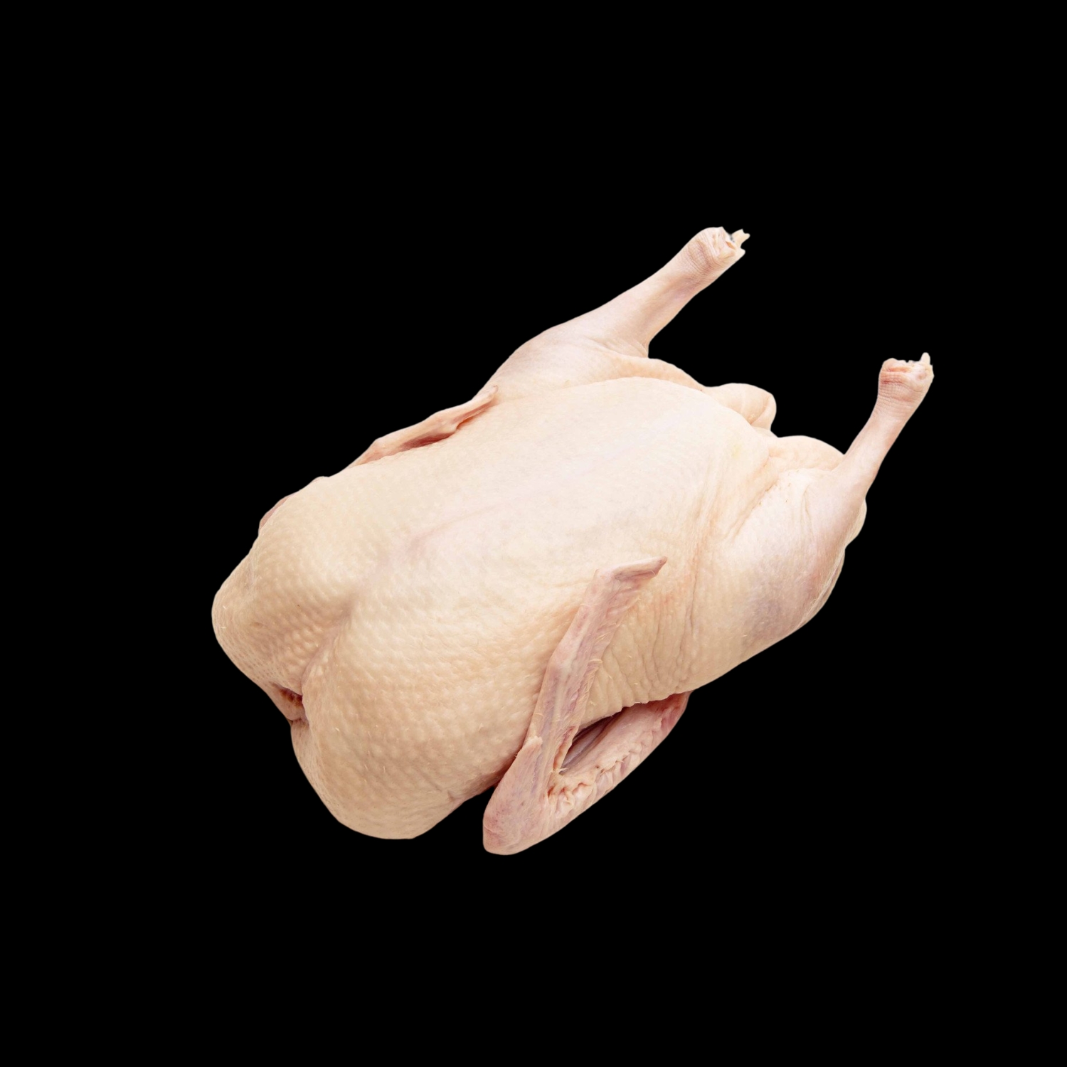 Premium Dressed Duck-Free Range Grain Fed