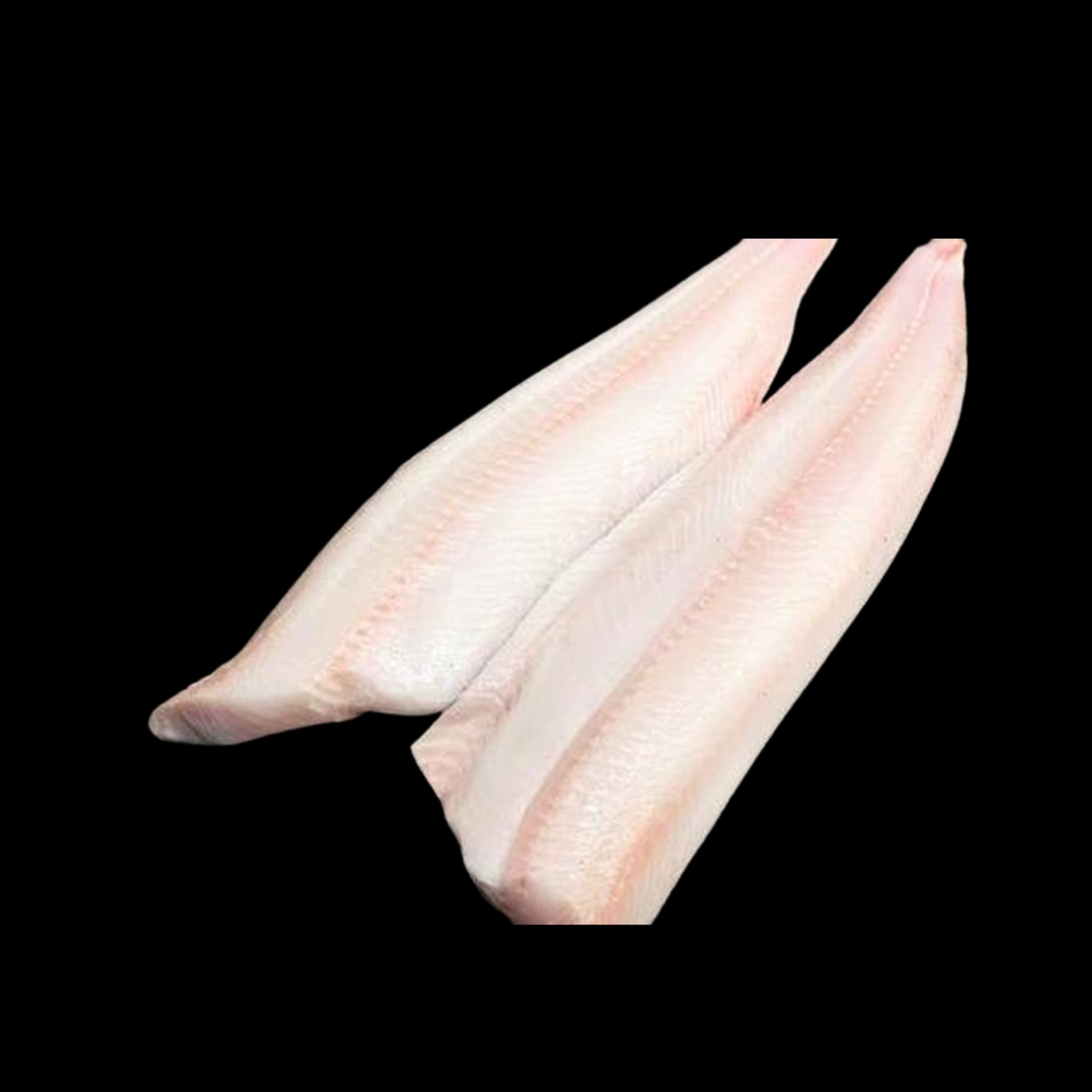Black Cod