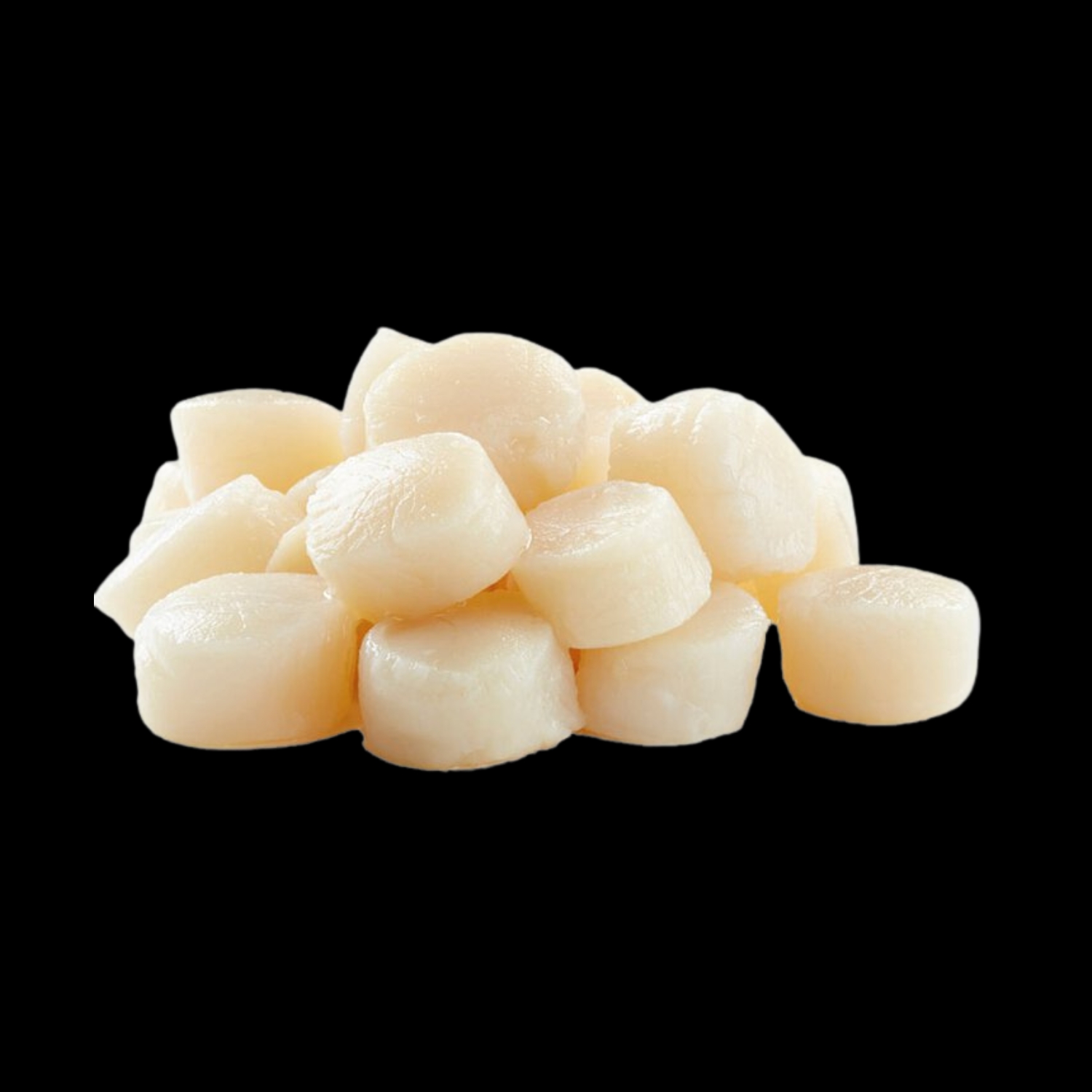 Hotate Scallops